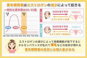 更年期障害はエストロゲンの減少によって起きる