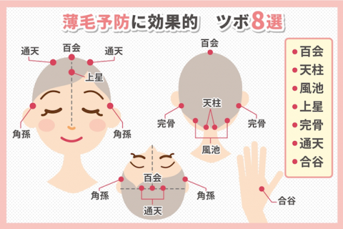 薄毛予防に効果的 ツボ8選