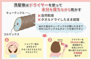 洗髪後はドライヤーを使って水分を保ちながら乾かす