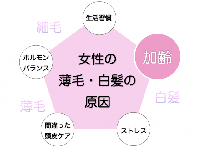 白髪 細毛が増えてお悩みの方へ 白髪になる原因 と改善方法について Hanabusa Co Medical